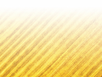 智能農(nóng)機、“訂單”服務(wù)、“云端”種菜——來自江西的春耕“新事”